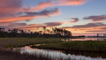 Coastal Virginia